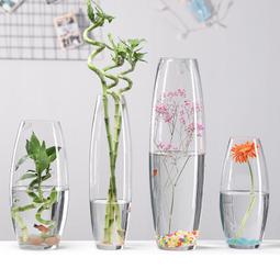 創意透明玻璃花瓶擺件北歐客廳簡約輕奢插花水養富貴竹網紅大花瓶/可可特價 歷史價格詳細信息