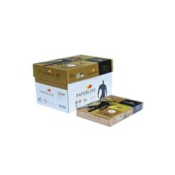 PAPERLINE金牌 70P 多功能A5影印紙【10包組】地球藍 歷史價格詳細信息