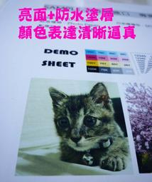 免費印圖 訂製情侶衣短袖t恤客製化t恤短袖客製班服團服團體服工作服短版衣服客制化t恤白色寬鬆素面大尺碼素t刺繡情人節禮物 歷史價格詳細信息