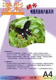 /170-225/5色 大呎碼素色長袖襯衫 加大加肥長袖襯衣 肥仔肥佬胖哥紳士襯衫 長袖上衣休閒外套-潮流e線 歷史價格詳細信息