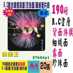 相片裁紙刀紙張裁紙器照片圓角器小型切紙刀A4切紙機辦公切刀裁紙機神器切紙器切割刀閘刀裁刀切割器滾刀剪裁淺語微微笑 歷史價格詳細信息