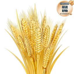 IP9D雙耳鐵鍋傳統老式家用圓底燃氣灶適用不粘鍋燉炒菜手工生鐵鑄 歷史價格詳細信息