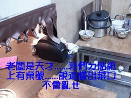 管道人工瓦斯瓦斯爐家用臺式嵌入式雙口瓦斯爐液化氣猛火臺式瓦斯爐具 歷史價格詳細信息