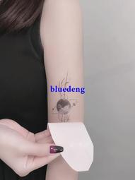 再變 一葉星球防水高級感女彩色紋身貼星球國風圖騰男手臂腿部 價格比較,價格查詢,歷史價格詳細信息