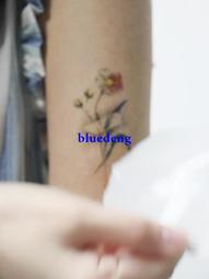 再變 國風鶴舞彩色國風山水防水持久紋身貼個性手臂男女華柱貼紙 歷史價格詳細信息