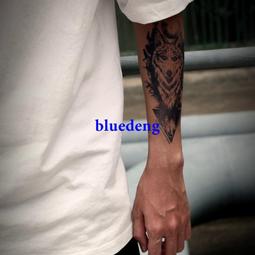 再變 新月蛇草本果汁紋身貼防水女男性感半永久ins風潮酷持久防汗 歷史價格詳細信息