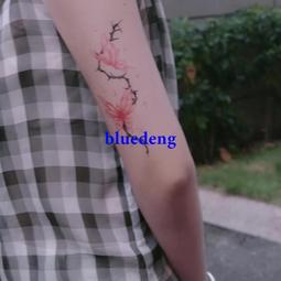 再變 可愛精靈草本半永久果汁防水持久潮酷紋身貼女Q彈寶貝防汗 歷史價格詳細信息