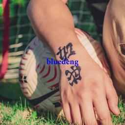 再變 藝妓半永久文身防水持久草本紋身貼日本ins風不反光女花臂23 歷史價格詳細信息