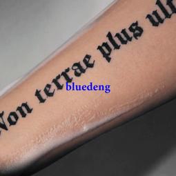 再變 英文句子套裝果汁草本紋身貼防水持久不反光仿真鎖骨女情侶 歷史價格詳細信息