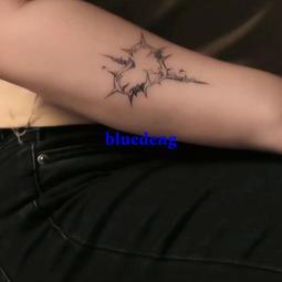 再變 荊棘草本紋身貼防水女持久兩周男禁欲系臂環手鏈女手臂鎖骨 歷史價格詳細信息