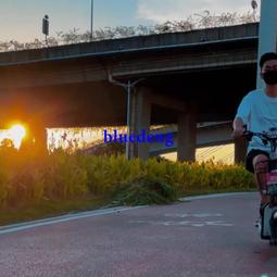 再變 蛇蓮花草本春夏新款潮酷歐美防水持久高端紋身貼男女高級感 歷史價格詳細信息