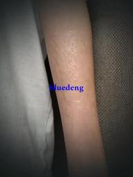 草本紋身貼老傳統菊花臂半永久防水持久仿真紋身花紋歐美復古拼接 歷史價格詳細信息