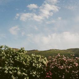 【公司貨免運】柯達M35膠捲相機傻瓜機M38彩色復古底片非一次性生日禮物底片機 價格比較,價格查詢,歷史價格詳細信息