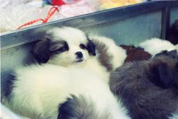 【好康】2022新爆款錢包女士大容量皮夾百搭簡約錢夾小眾卡包精緻復古 歷史價格詳細信息