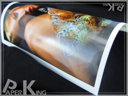 樂昇科技-超光亮面相紙170磅 12吋/17吋/24吋/36吋/42吋/44吋/50吋/60吋 30米 歷史價格詳細信息