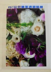 ☆噴墨王☆透明霧面PET塑膠冷裱膜A4*20張100元 歷史價格詳細信息