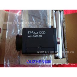 全新日影《相棒系列：鑑識・米澤守事件簿》DVD 六角精兒 荻原聖人 市川染五郎 水谷豐 寺脇康文相棒拍檔精彩現身 歷史價格詳細信息