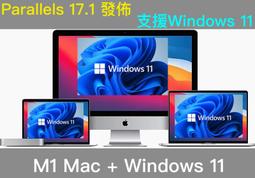 知者不博專業級狼毫羊毫兼毫高檔毛筆小楷純狼毫專用中號中楷套裝國畫禮盒書法家訂製高級文房四寶初學者練字 歷史價格詳細信息