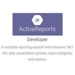 ActiveReports Professional專業版 單機授權 (下載) 歷史價格詳細信息