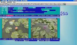 專業紗窗長桿清潔刷除塵刷-短款 歷史價格詳細信息