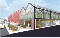 [含發票]2024年式 5C2V.RG6防水鋁鳳梨頭CP-102L錐形鳳梨頭 電視接頭F頭 有線電視 數位天線 歷史價格詳細信息