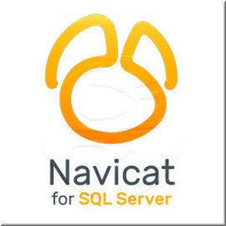 Navicat for Oracle ENTERPRISE - 1 Year Subscription  (Platform : Win/macOS/Linux)   繁體中文企業單機下載版(一年租賃版本) 歷史價格詳細信息