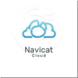 Navicat Monitor 3 - Non-Commercial Edition Perpetual License 非營利組織版本 (1 token,永久授權版) 歷史價格詳細信息