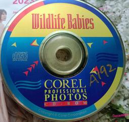 Corel VideoStudio 2023 Ultimate 會聲會影 旗艦版 英文、繁體中文 永久使用 可遠端安裝 歷史價格詳細信息