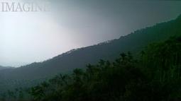 [好事多]風景照片、圖案、圖片、設計::動物、植物、人物、買圖片、買照片、買影片、買人物照片、買風景照、買牙齒照、牙醫 歷史價格詳細信息