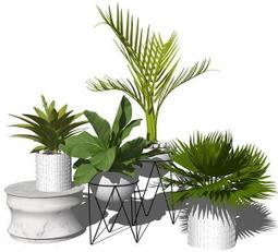 【瘋設計】SketchUp 模型庫素材 系列２﹝室內設計、建築、平面、3D設計、模型庫、教學等﹞ 歷史價格詳細信息