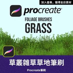 PRO46- 漫畫勾線筆刷 墨筆毛筆筆刷 針筆描線筆刷 Procreate筆刷 Photoshop筆刷 ipad筆刷 歷史價格詳細信息