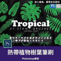 植物樹葉敲拓染錘 幼兒園兒童diy專用布布料小拓印錘子工具材料包  露天市集  全台最大的網路購物市集 歷史價格詳細信息