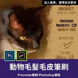 厚塗神技： 超人氣插畫家神慶教你畫白髮美男子 歷史價格詳細信息