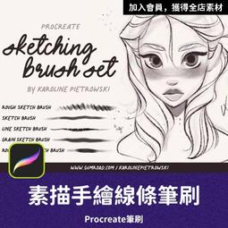 PRO33- 美式手繪線稿筆刷 草圖草稿筆刷 鉛筆素描筆刷 速寫筆刷 Procreate筆刷 ipad筆刷 歷史價格詳細信息