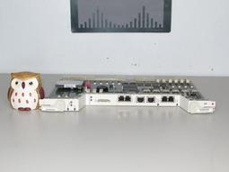 【AIC Shop】經典狗狗雨衣 32cm 連帽雨衣 簡約時尚雨衣 狗雨衣 狗運動衣 狗外出衣 狗防水衣 狗衣服 雨衣 歷史價格詳細信息