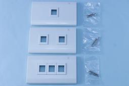 台製 3ANET 用於 RJ45 Keystone Jack 的美式資訊面板 Faceplate (2 孔) 歷史價格詳細信息