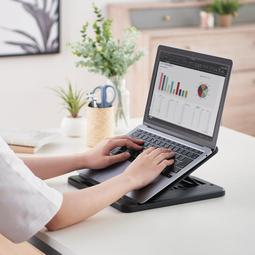 ELECOM TB-A12NC2RD 紅 10吋 平板用防衝撞內袋 收納袋 IPAD IPAD2/3/4  AIR適 歷史價格詳細信息