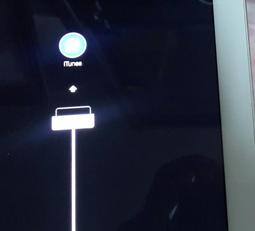 APPLE 平板 ipad2 維修料件 ipad二代 內部配件 音頻送話排線 ipad2錄音排線 麥克風排線[20153 歷史價格詳細信息