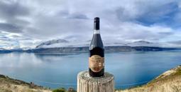 紐西蘭進口高純度蜂膠噴劑10ml/瓶 歷史價格詳細信息