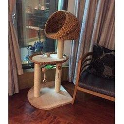 5Cgo【代購七天交貨】跳舞專用彈力無袖旗袍綠色舞蹈服古典舞身韻練功服飄逸中國舞演出服女t713632735304 歷史價格詳細信息