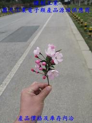 工業類產品均有庫存-現貨低價大甩賣了 美國NI SHC68-68-EPM 192 歷史價格詳細信息