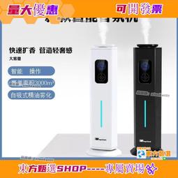 甄選✨高端兒童護脛插板 親子 護腿插板 足球護脛  比賽訓練專用護板 男女兒童護脛插板 歷史價格詳細信息