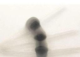 10000-141-興雲網購 10米 Cat.6高速超薄扁線網路線 扁線 扁平線 歷史價格詳細信息