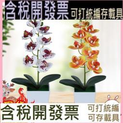 蝴蝶擺件，銅制，海外回流，茶寵，有劃傷，品相看圖，喜歡的帶走21971 歷史價格詳細信息