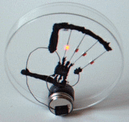 美國進口超亮CREE-T6強光變焦手電筒 LED手電筒 可調五段式燈光 伸縮變焦 歷史價格詳細信息