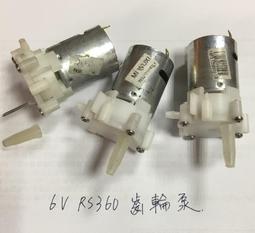 暴力熊存錢罐入戶玄關鑰匙收納擺件客廳進門口鞋柜電視酒柜裝飾品半米潮殼直購 歷史價格詳細信息