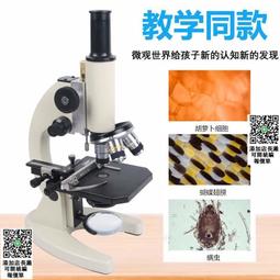 載玻片60mm 5片組 蓋玻片 玻片盒 毛玻片磨砂 教學儀器 玻璃耗材器皿 磨砂玻璃片 B-FS60S 歷史價格詳細信息