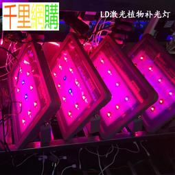 LD-0822涼感防曬露指袖套（黑） 歷史價格詳細信息