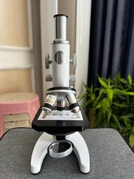 很高的冰飄金絲綠翡翠觀音金絲種適合女生個頭不算很大精致、是 翡翠 飾品 收藏【二手】【微淵古董】-3561 歷史價格詳細信息