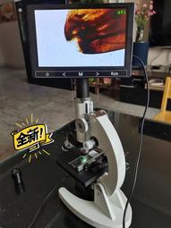 議價出售全新棱鏡標本夾壓板5mm加長桿子10元一個不包郵 庫存多個能買就有 歷史價格詳細信息